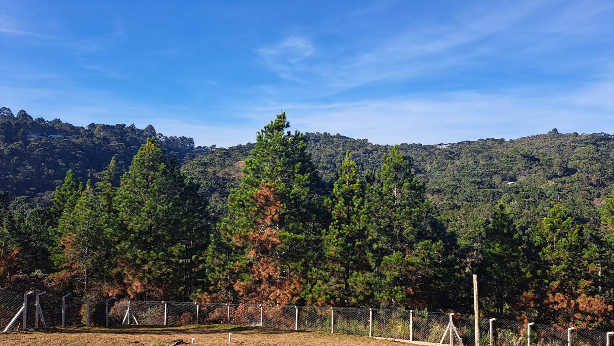 Chale Luz Do Luar Romantismo E Uma Linda Vista Campos do Jordão